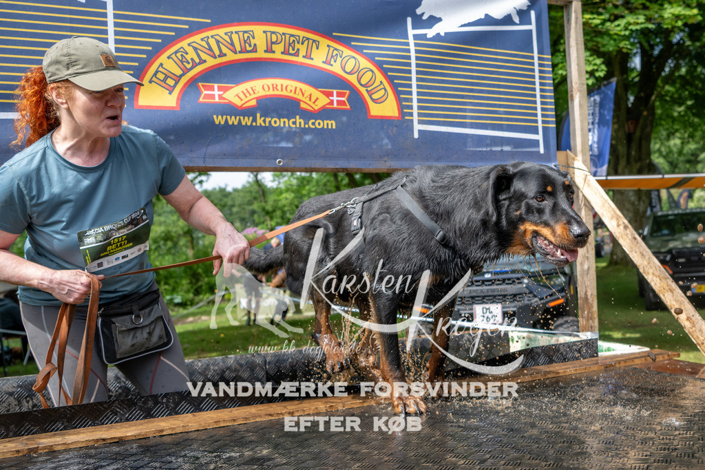 1031_ZZ91137 | kk-dogfotos
