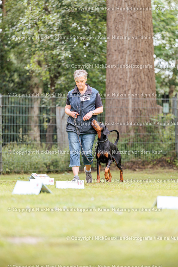 RO-Blumenthal-2026-Nickbest-Hundefotografie-5268 | Dein Hund! Dein Moment! Deine Erinnerungen! Hundefotografie in Bremen Blumenthal. Ich fange die besonderen Momente deines Vierbeiners ein – ob Indoor mit Blitzanlage oder in der freien Natur. Sicher dir dein Moment und dein Termin für eure Erinnerungen.