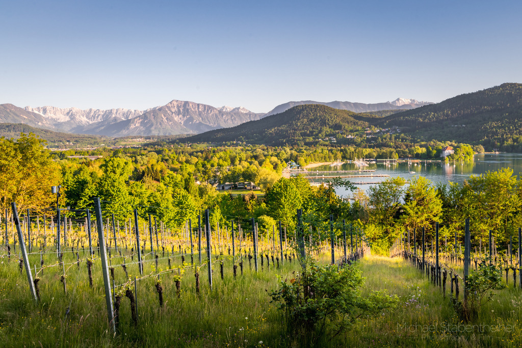 Klagenfurter Weinberg | Klagenfurter Weinberg mit Blick auf den Wörthersee in Kärnten / Österreich