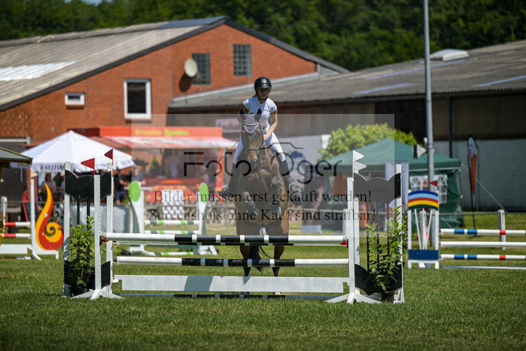 Reitturnier Voxtrup | Entdecke hochwertige Reitturnierfotos von Foto Oger. Professionell, emotional und authentisch – jetzt Lieblingsmomente im Shop bestellen. - Realisiert mit Pictrs.com