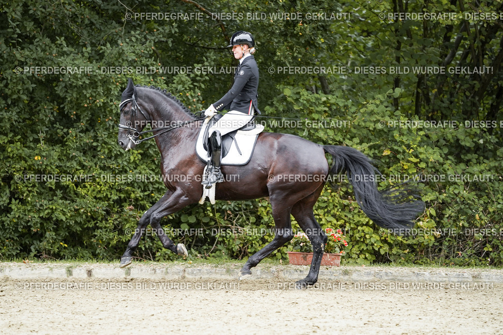 DSC01496 | Pferdegrafie