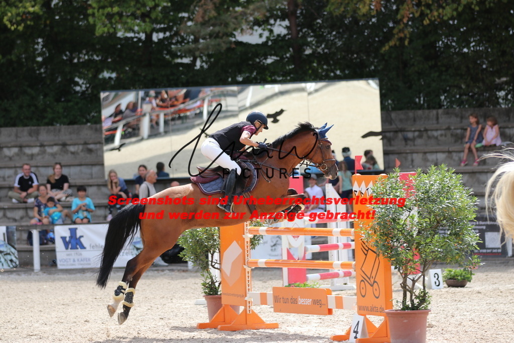 IMG_0328 | lmwpictures - Realisiert mit Pictrs.com