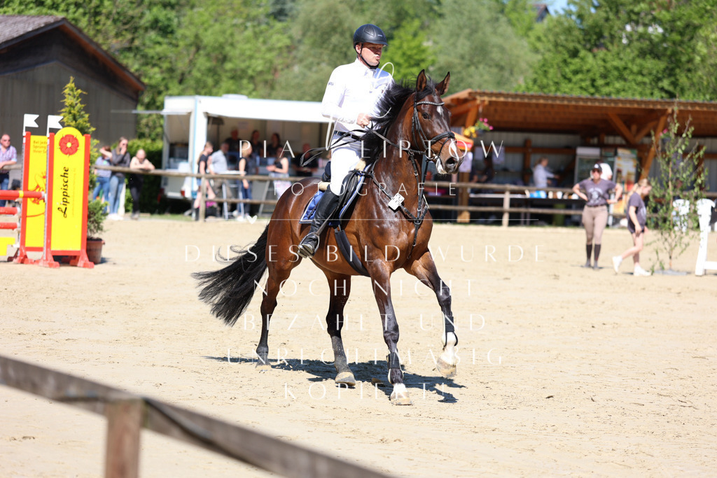 IMGS7421 | pl-fotografie