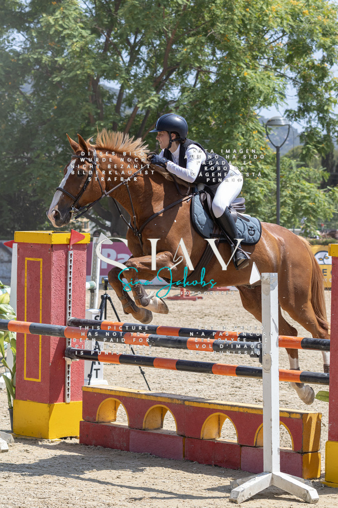 IMG_3116 | s-jay-photography - Realisiert mit Pictrs.com