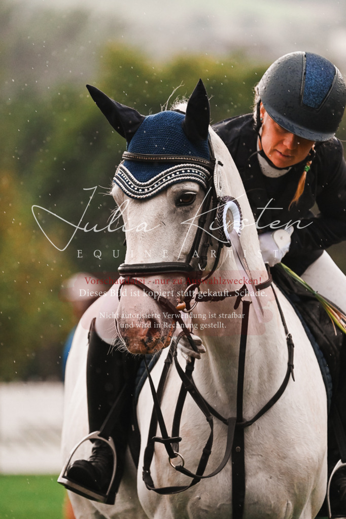 DSC_6209 | Pferde- und Turnierfotografie in Westsachsen. Pferdeportraits, Auftragszeichnungen und intuitive Kunst.