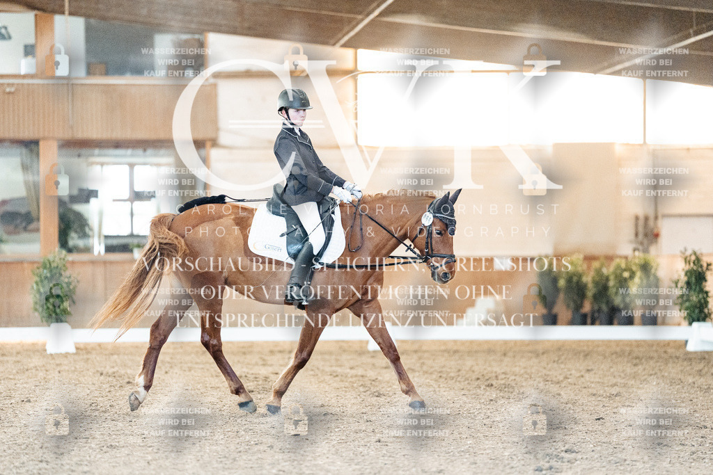 CK906582 | Turnierfotografie Pferdefotografie Trier Rheinland-Pfalz Pferdesport Reitsport Tierfotografie Sportfotografie Pferdevideo Pferdevideografie Equestrianvideography equestrianphotography  - Realisiert mit Pictrs.com