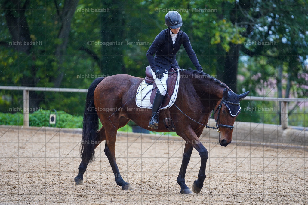 20221008-FAH02023 | Diessen am Ammersee, 2022, Dressur- und Springturnier, Reitsportbilder, Turnierfotografen Bayern, Pferdefotografen, Fotoagentur Herrmann, Turnierbilder