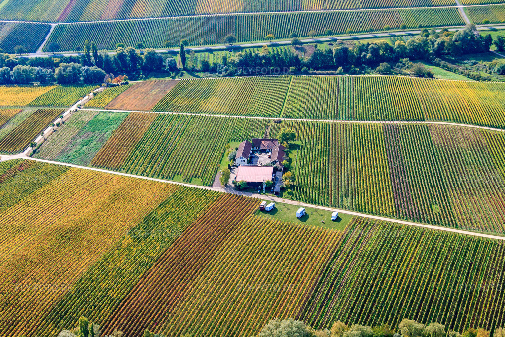 Luftbild: Weingut Erlenwein in Ilbesheim bei Landau im Bundesland Rheinland-Pfalz in Deutschland. Foto: IMG_22350.jpg vom 15.10.2009 durch Werner Riehm/FLY-FOTO.de