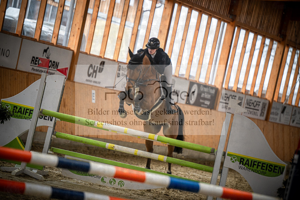 DOS_0813 | Entdecke hochwertige Reitturnierfotos von Foto Oger. Professionell, emotional und authentisch – jetzt Lieblingsmomente im Shop bestellen.Deutschlandweite Turnierfotografie. - Realisiert mit Pictrs.com