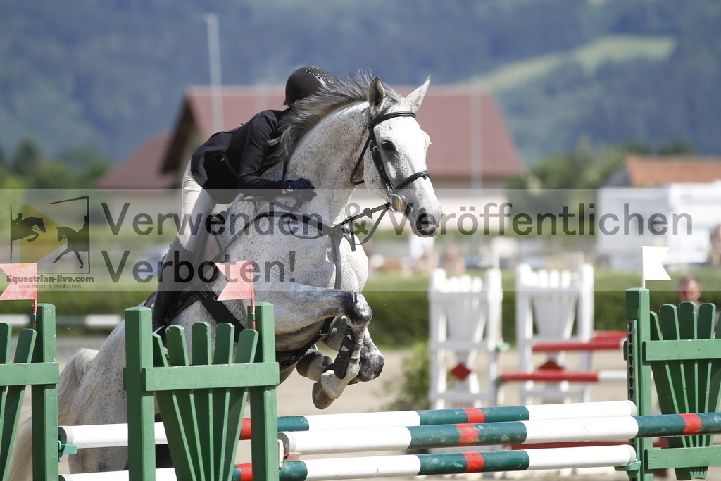 _MG_7037 | equestrian-live-com
