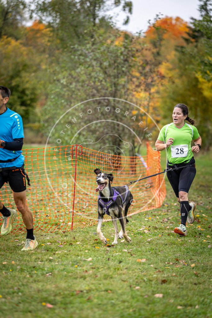 Pfotenfotografie_DV3A2065 | Hundefotografie, Tierfotograf, Pfotenfotografie, Fotoshooting Hund, Hunde Portrait, Hundesport, Hundeportraits, Heideshooting, Hunde, Sportfotograf, Hundefotograf, Turnierhundsport, THS,  - Realisiert mit Pictrs.com