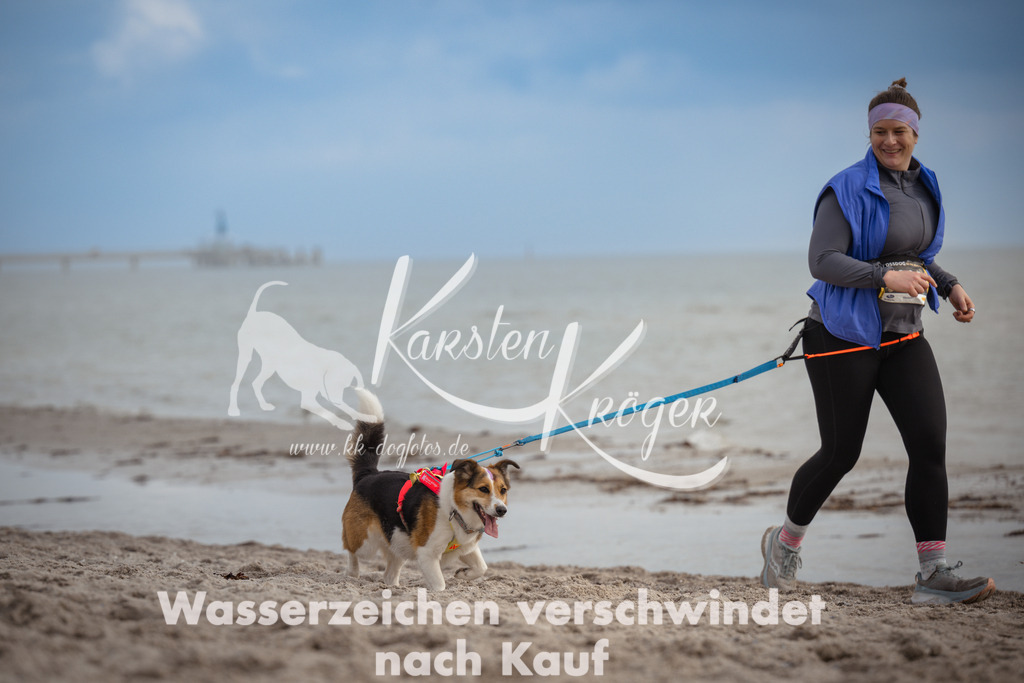 1218_ZZ96174 | kk-dogfotos