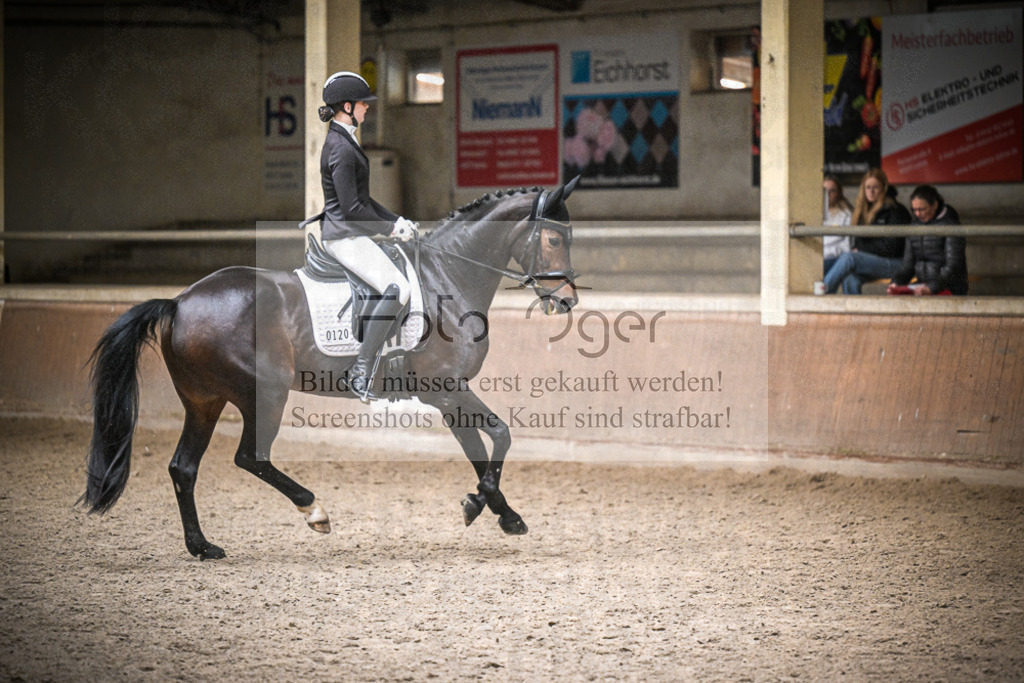 DOS_0518 | Entdecke hochwertige Reitturnierfotos von Foto Oger. Professionell, emotional und authentisch – jetzt Lieblingsmomente im Shop bestellen.Deutschlandweite Turnierfotografie. - Realisiert mit Pictrs.com