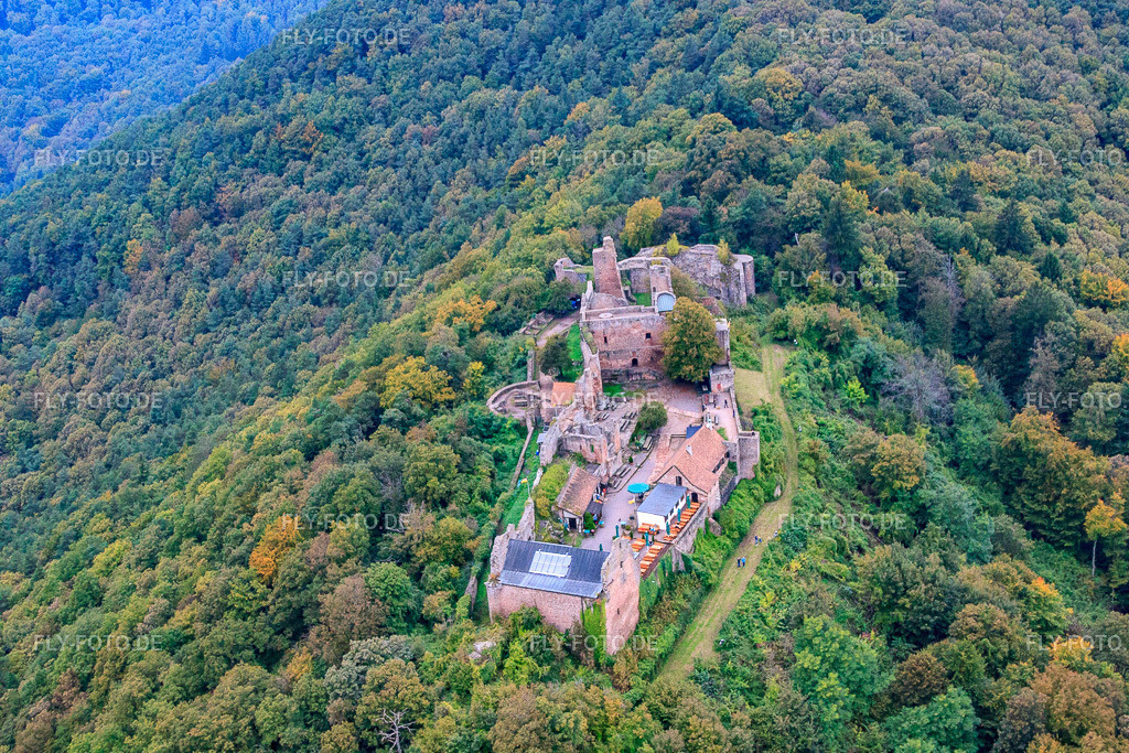 Madenburg | Luftbild: Madenburg in Eschbach im Bundesland Rheinland-Pfalz in Deutschland. Foto: IMG_59993.jpg vom 08.10.2013 durch Werner Riehm/FLY-FOTO.de - Realisiert mit Pictrs.com