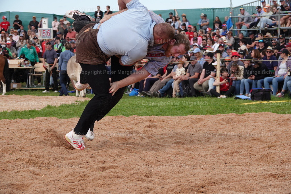 DSC01051 | Schwingen - Realisiert mit Pictrs.com