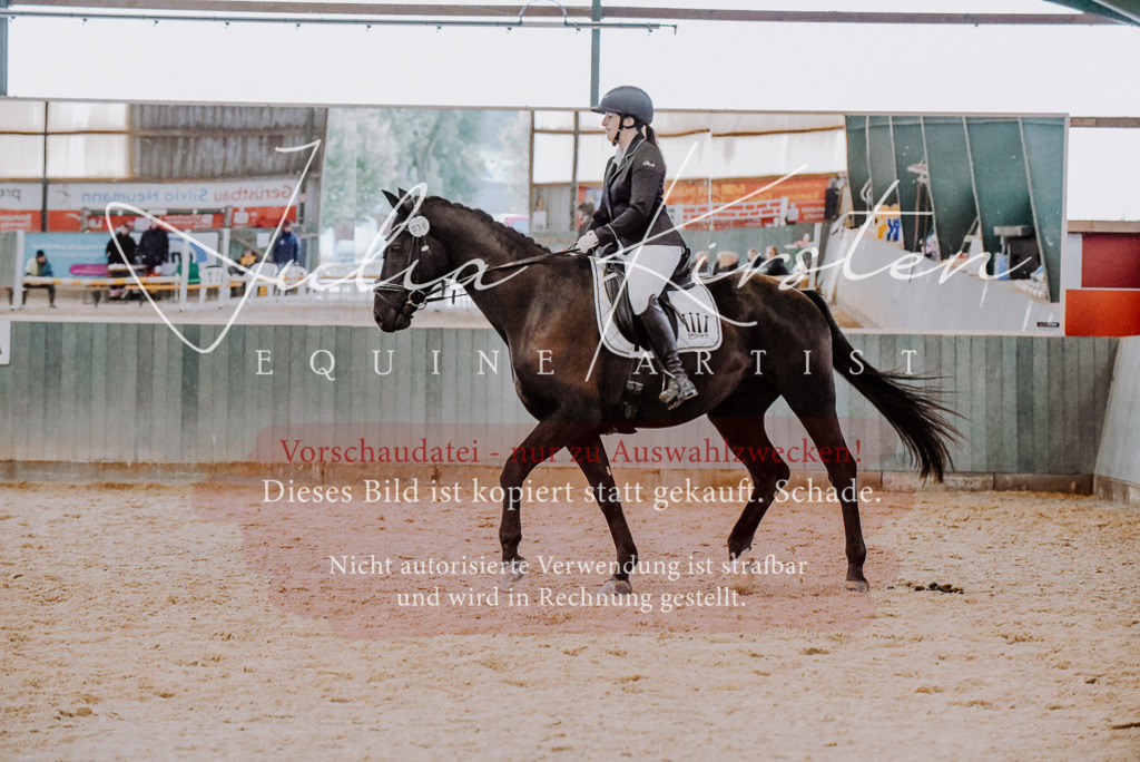 DSC_7644 | Pferde- und Turnierfotografie in Westsachsen. Pferdeportraits, Auftragszeichnungen und intuitive Kunst.