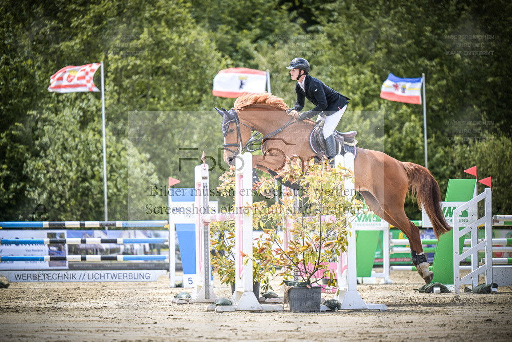 DOS_5976 | Entdecke hochwertige Reitturnierfotos von Foto Oger. Professionell, emotional und authentisch – jetzt Lieblingsmomente im Shop bestellen. - Realisiert mit Pictrs.com