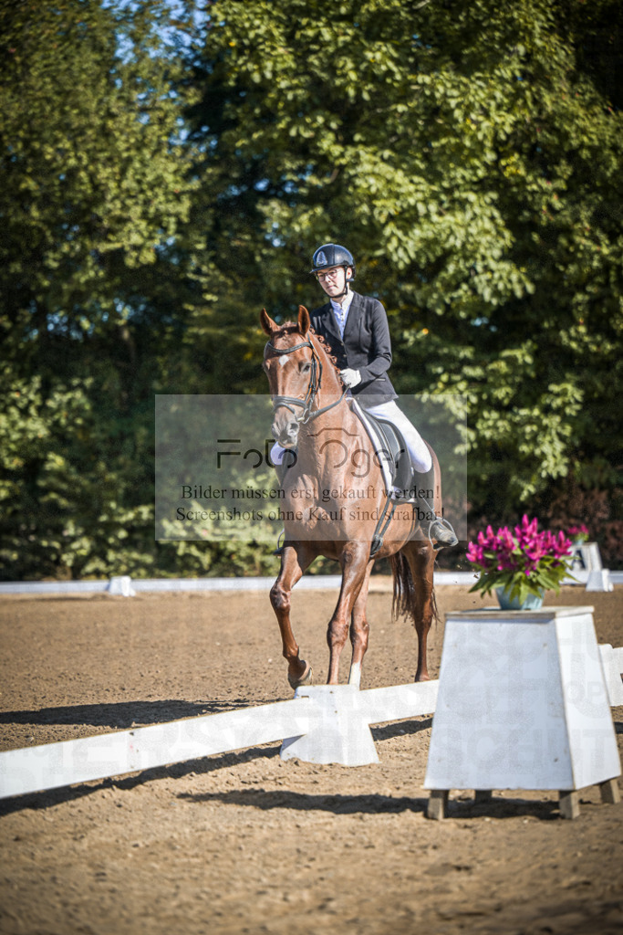 DOS_2228 | Entdecke hochwertige Reitturnierfotos von Foto Oger. Professionell, emotional und authentisch – jetzt Lieblingsmomente im Shop bestellen.Deutschlandweite Turnierfotografie. - Realisiert mit Pictrs.com