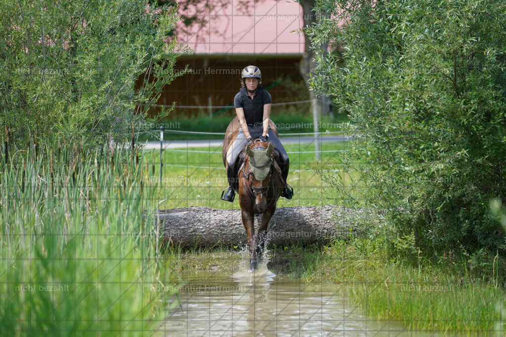 20240622-FAH07166 | Turnierfotografen Bayern, Reitsportbilder aus dem Geländekurs mit Felix Etzel auf dem Gut Waitzacker 2024