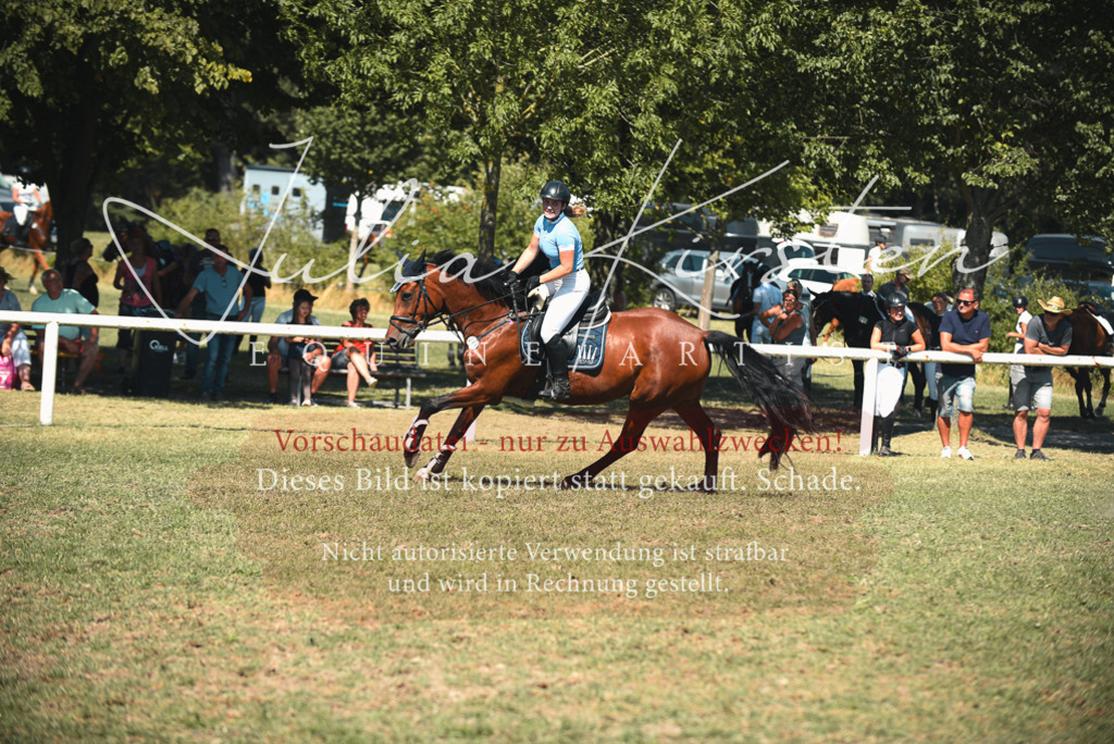 DSC_7155 | Pferde- und Turnierfotografie in Westsachsen. Pferdeportraits, Auftragszeichnungen und intuitive Kunst.