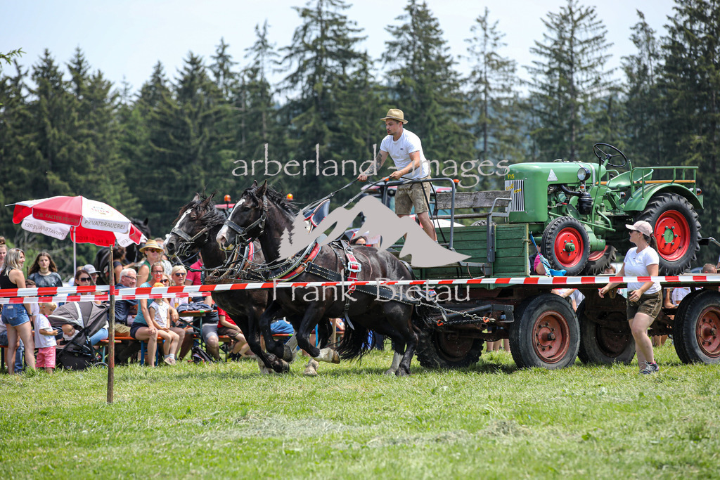 OE7A4524 | Beim Zugpferdetreffen in Poschedtsried galt es verschiedene Wettbewerbe zu meistern, Einzelrennen im Reiten, Traktorpulling und auch ein Hunderennen wurde veranstaltet