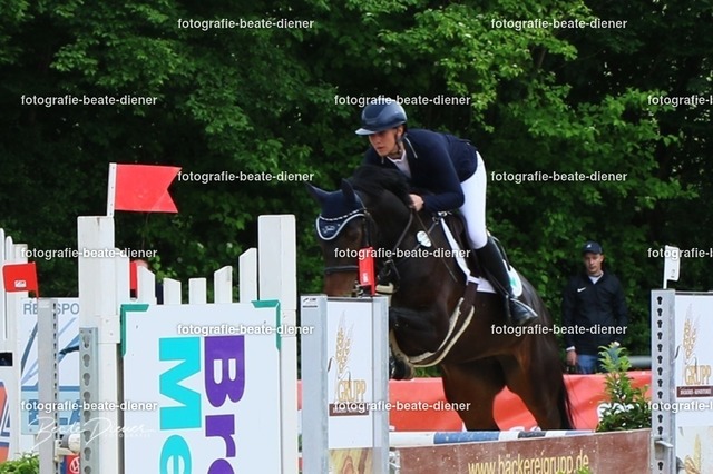 OHT1961 | Fotografie, Tiere, Hunde, Katzen, Pferde, Sportfotografie, Fotosession, Tierfotografie, Turnierfotografie, Fotografin, Fotograf - Realisiert mit Pictrs.com