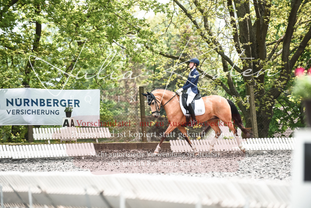 20230514_JK-Röhrsdorf-24-325 | Pferde- und Turnierfotografie in Westsachsen. Pferdeportraits, Auftragszeichnungen und intuitive Kunst.