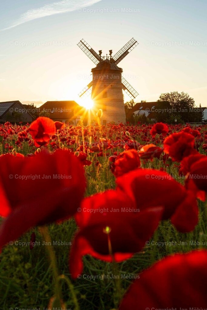 _M5D3076 | Leipzig Wandbilder Drucke Prints Leinwand Stadtmotive Leipzig Fotosdruck Kunstdrucke Bilder Leipzig Stadtansichten Acrylglasbilder Leipzig Wanddeko Fine Art Prints Wandbilder Büro Leipzig Bilder Praxis Zuhause Bilderdruck Poster Posterlounge Kunstdrucke - Realisiert mit Pictrs.com