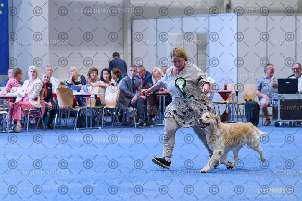 202406_ÖKV-IHA-Tulln24_DSC_4167 | proPHOTO - Realisiert mit Pictrs.com