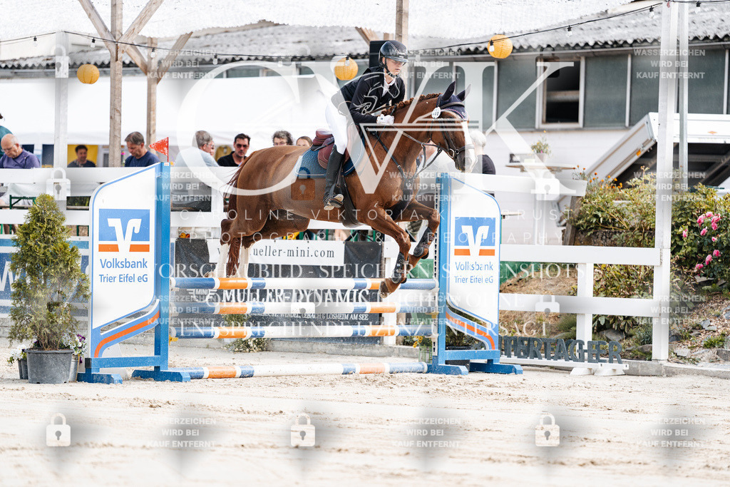 CK908885 | Turnierfotografie Pferdefotografie Trier Rheinland-Pfalz Pferdesport Reitsport Tierfotografie Sportfotografie Pferdevideo Pferdevideografie Equestrianvideography equestrianphotography  - Realisiert mit Pictrs.com