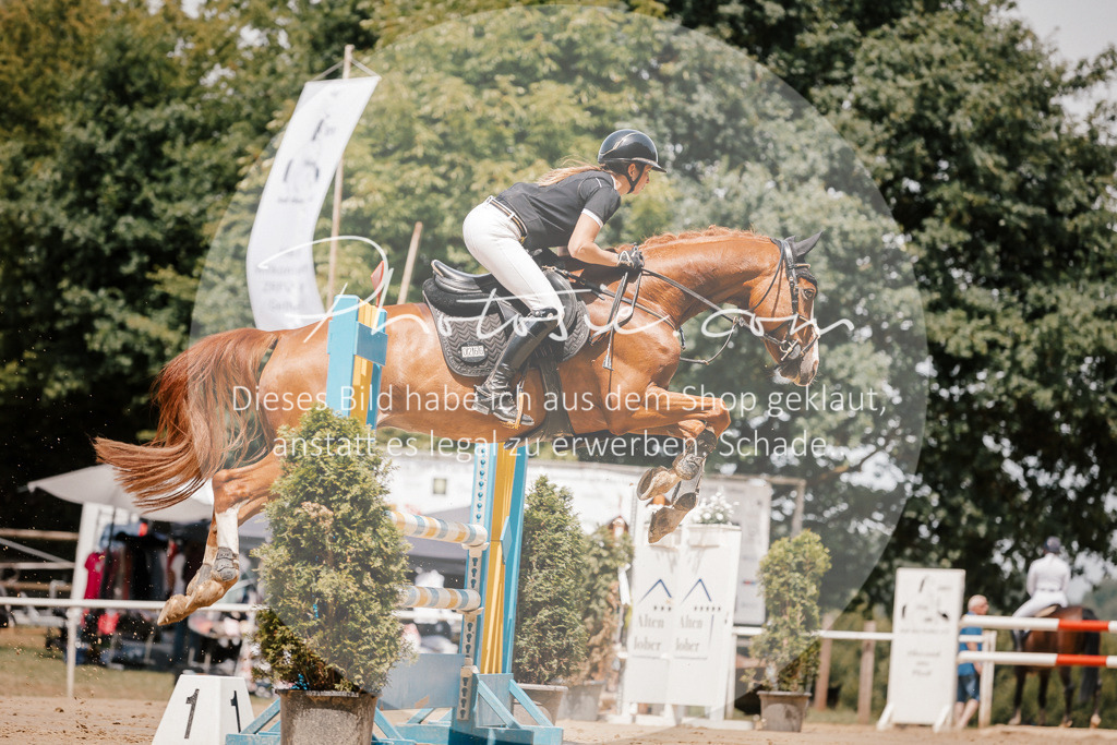 3I6A7935 | Stimmungsvolle Portraits und Reitsportfotografie im Ruhrgebiet und im Münsterland.

Pferdefotografie, Hundefotografie, Tierfotografie, Reportagen, Portraits von Tier und Mensch, Turnierfotografie in Bochum, Recklinghausen, Marl, Haltern am See, Dülmen.. - Realisiert mit Pictrs.com