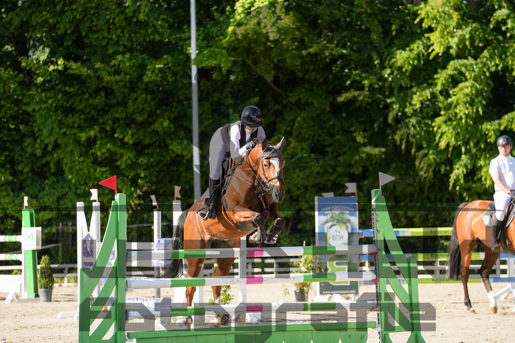 DSC02467 | Julian Held Fotografie - Realisiert mit Pictrs.com