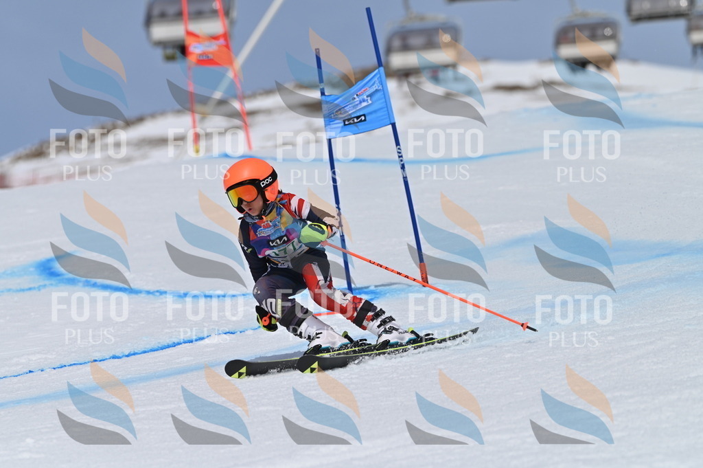 BGV_3494 | holidayphoto