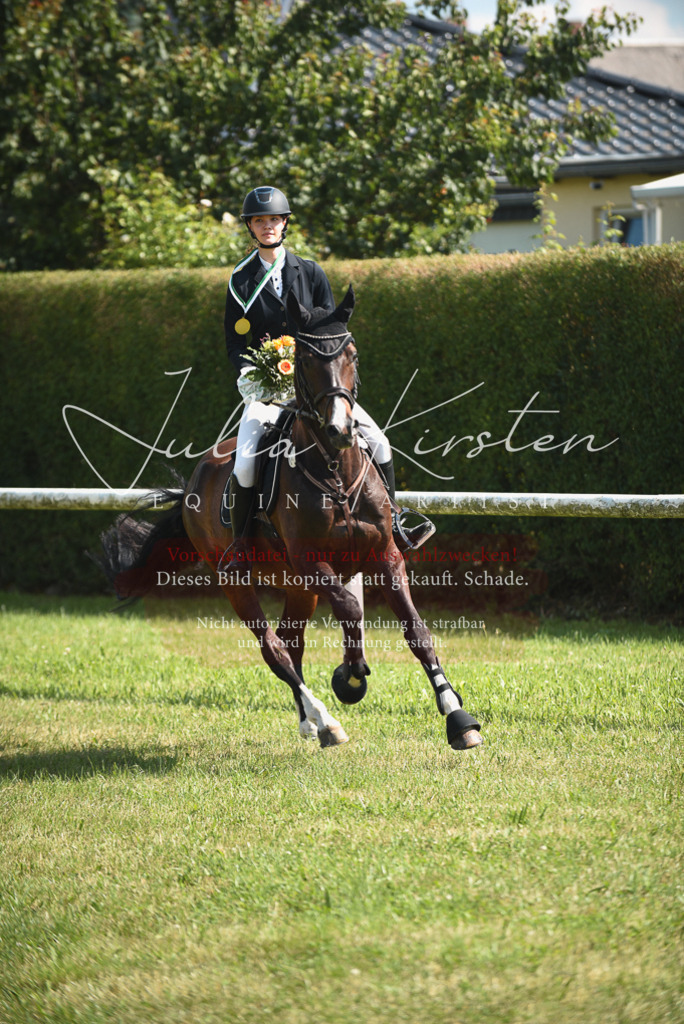 DSC_2656 | Pferde- und Turnierfotografie in Westsachsen. Pferdeportraits, Auftragszeichnungen und intuitive Kunst.