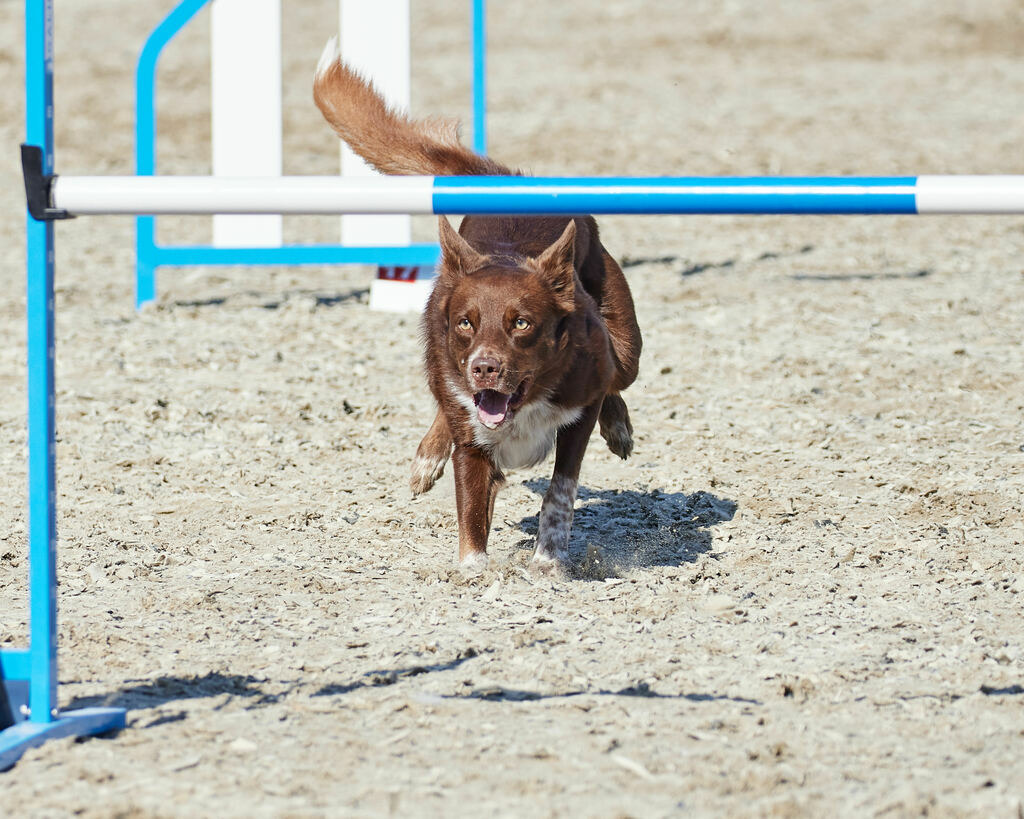580A0183 | Peter Fridle Fotografie - Realisiert mit Pictrs.com