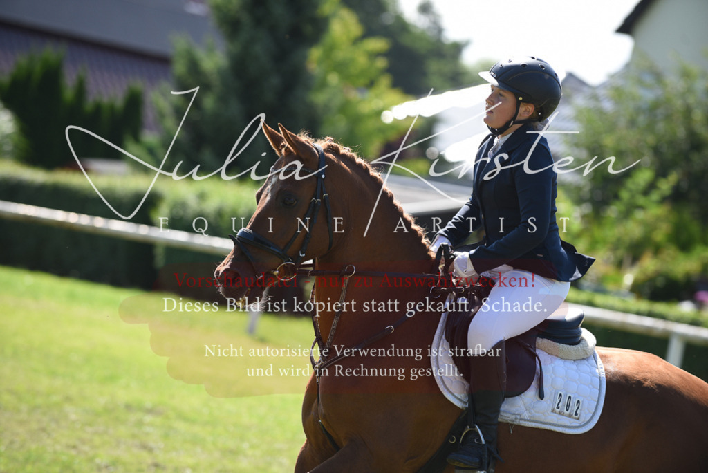 DSC_9303 | Pferde- und Turnierfotografie in Westsachsen. Pferdeportraits, Auftragszeichnungen und intuitive Kunst.