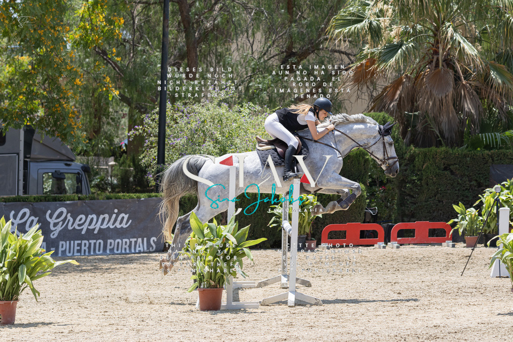 IMG_1810 | s-jay-photography - Realisiert mit Pictrs.com