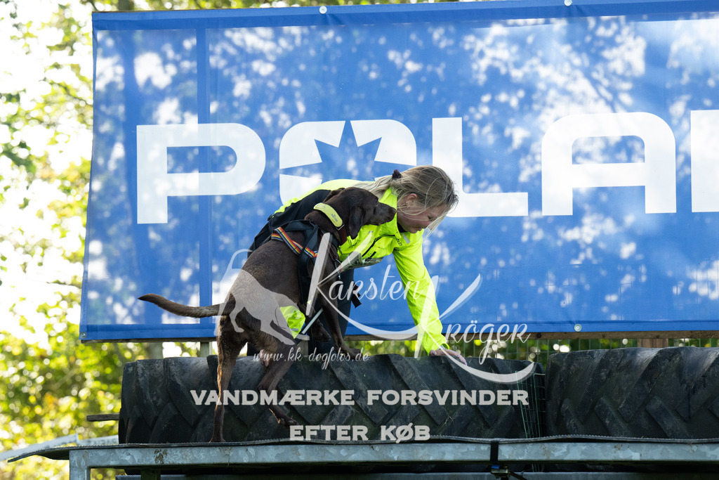 1135-92186 | kk-dogfotos