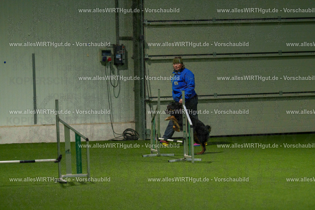 7R508718 | Professionelle Tierfotografie in Mönchengladbach von Daniel Wirth (allesWIRTHgut). Liebevolle & natürliche Bilder von Hunden & Katzen für unvergessliche Erinnerungen.