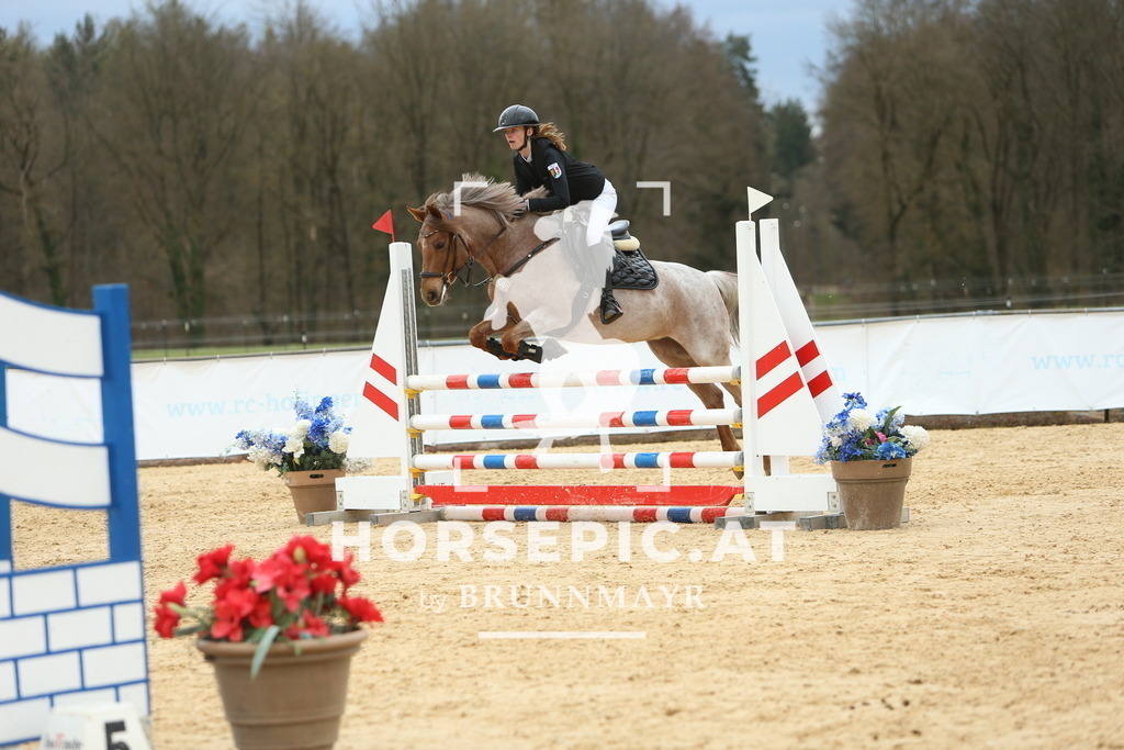 DL2Q2606 | Willkommen bei Brunnmayr - Design & Fotografie – Ihrem Spezialisten für Reitturniere und Pferdeveranstaltungen in Oberösterreich, Salzburg und Bayern! Seit über 17 Jahren sind wir leidenschaftlich dabei.