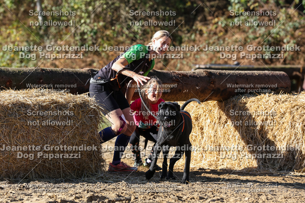 Dog Paparazzi - Strongdog 10-25-2743 | Dog Paparazzi Jeanette Grottendiek Fotografie & Videografie - Realisiert mit Pictrs.com
