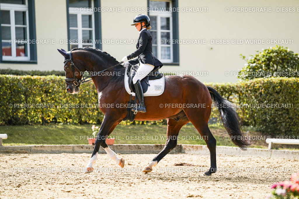 DSC08909 | Pferdegrafie