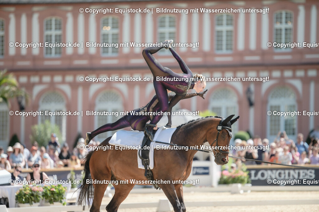 20230528_Voltigieren_NASPA_0216 | equistock