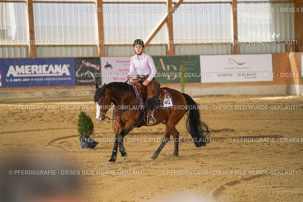 DSC06165 | Pferdegrafie