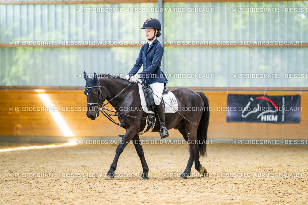 DSC08976 | Pferdegrafie