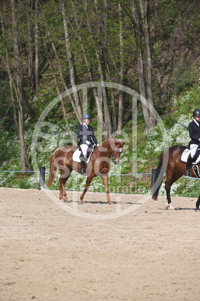 DSC_1055 | sattelsport - Realisiert mit Pictrs.com