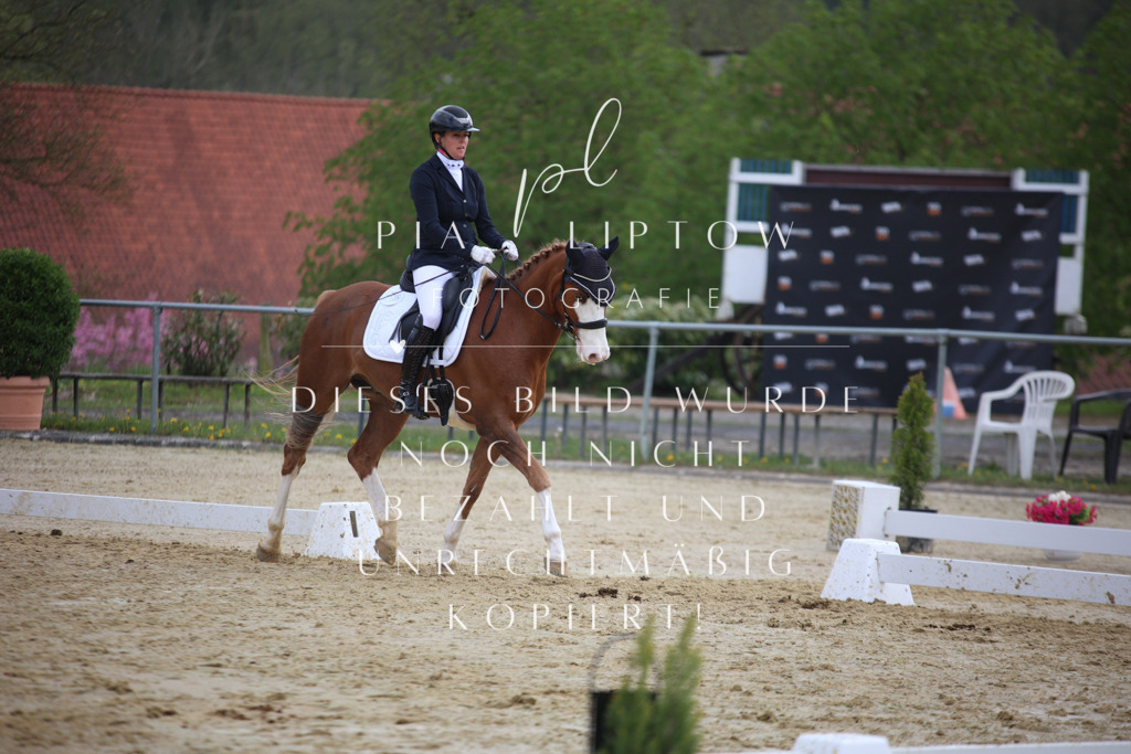 IMGT6852 | pl-fotografie