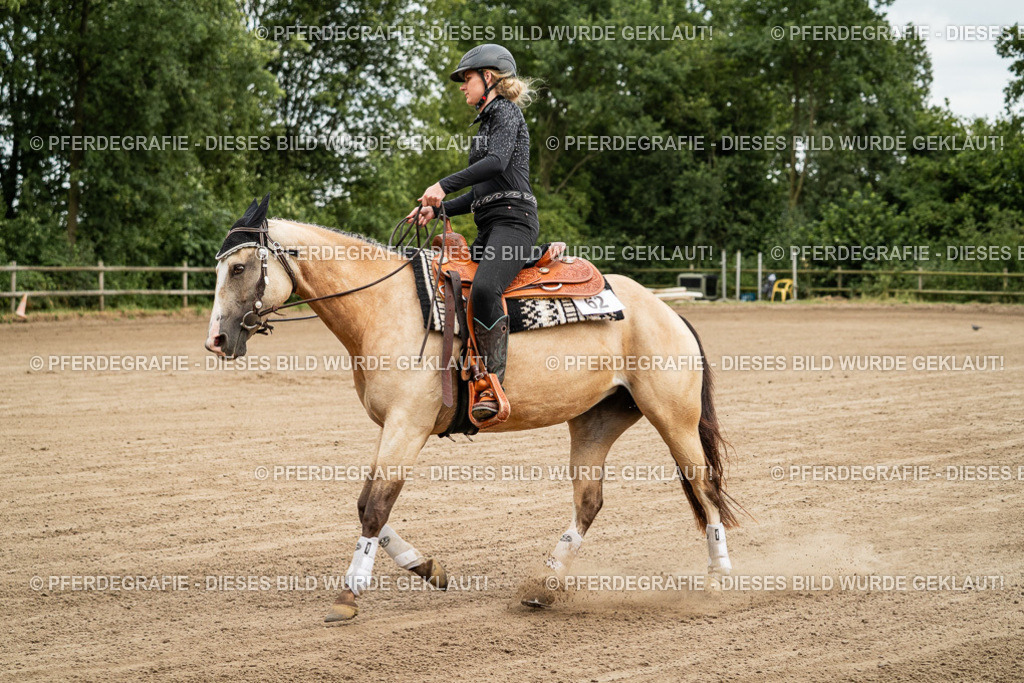 DSC04733 | Pferdegrafie