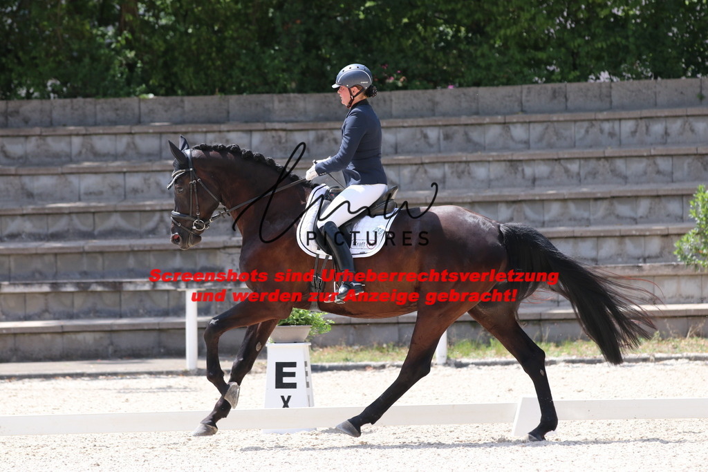 IMG_4811 | lmwpictures - Realisiert mit Pictrs.com