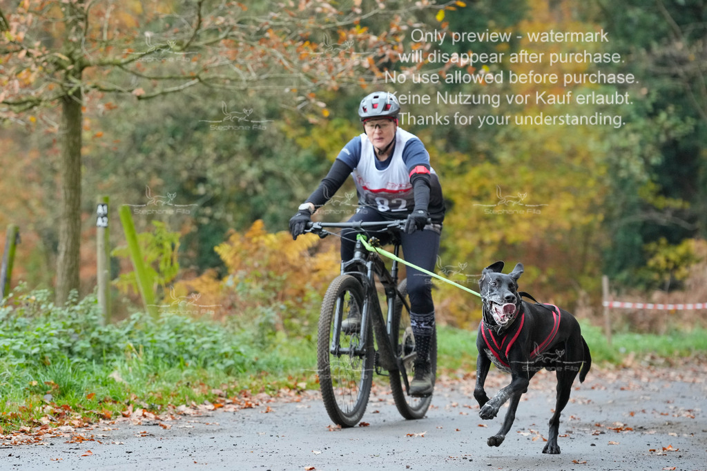 Bike_So-110 | stephaniefillaphotographie - Realisiert mit Pictrs.com